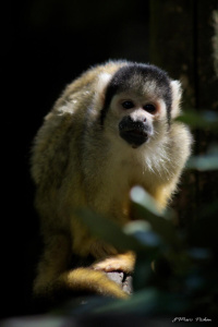 zoo_200814_0463