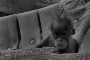 zoo_200814_1136