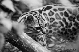 zoo_200814_1410