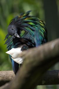 zoo_210722_077