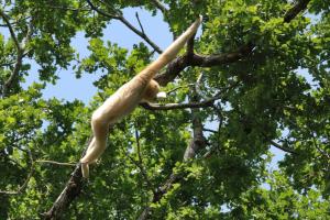 zoo_210722_541