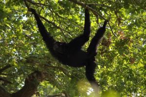 zoo_210722_826
