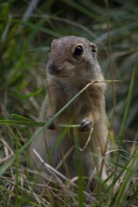 zoo_210812_375