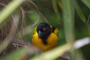 zoo_210812_457