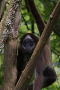 zoo_210812_490
