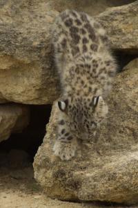 zoo_210812_692