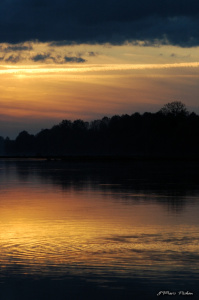 reflet_11